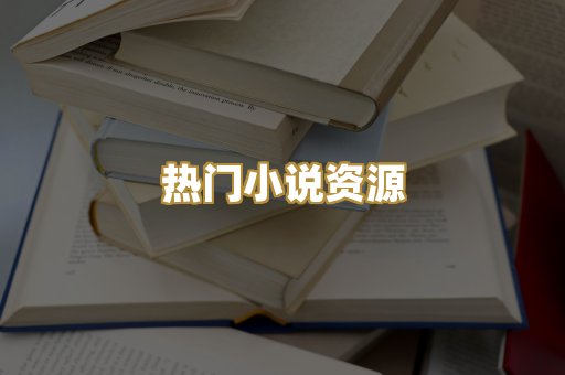 热门小说资源